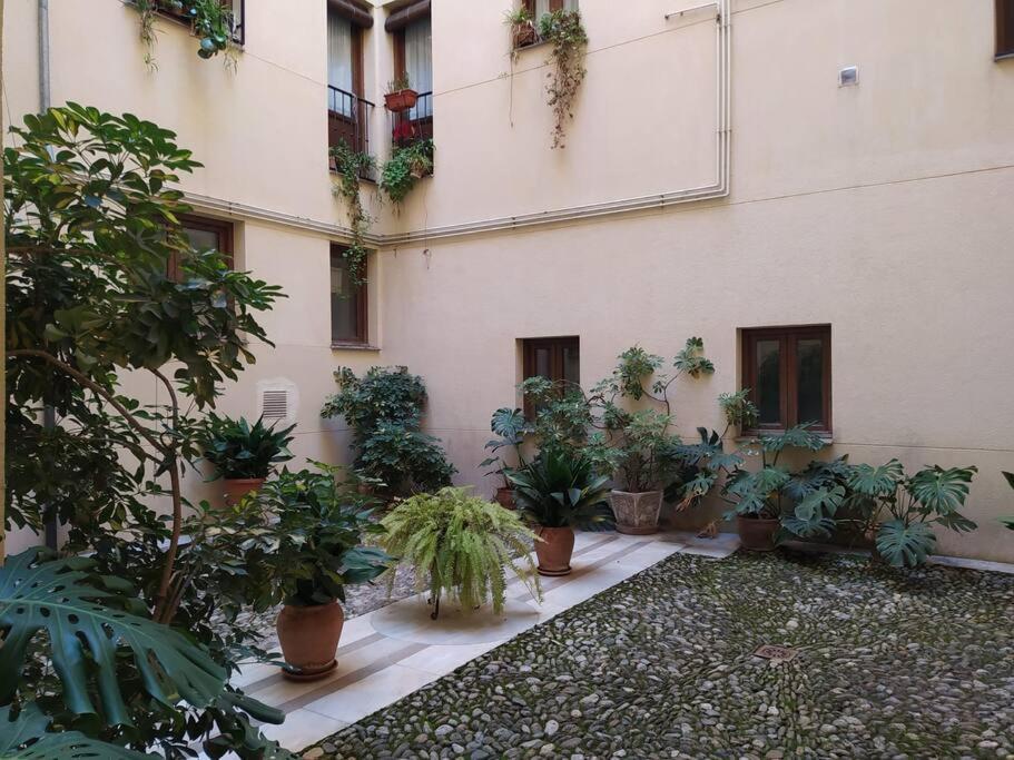 4 Balconies House, Central And Near The Alhambra 그라나다 외부 사진